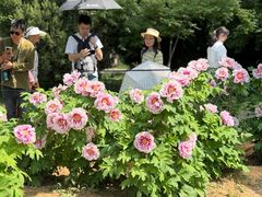 -洛阳市隋唐城遗址植物园