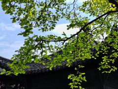 -何园