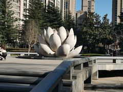 -木塔寺遗址生态公园