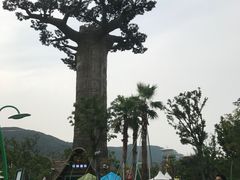 -苏州乐园森林水世界