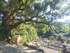 -杨家堂村