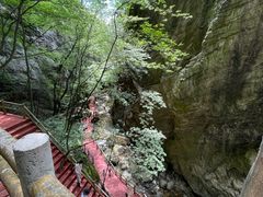 -牛背梁国家森林公园