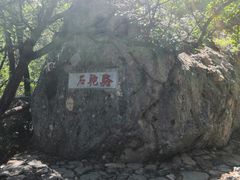 -阳台山自然风景区