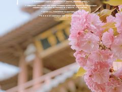 -西安青龙寺遗址景区