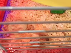 -FAELING PETS美天灵宠物(富力广场店)