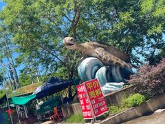 -广东惠东海龟国家级自然保护区