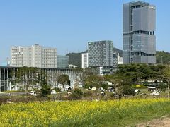 -光明小镇欢乐田园
