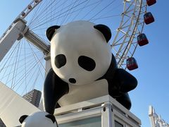 -天津之眼摩天轮