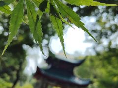 -岳麓山风景名胜区