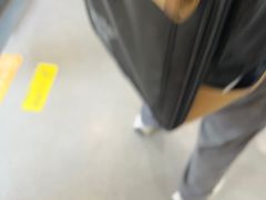 -渲嗳动物医院(异宠·复杂内科转诊中心·玖洲道富华里分院)