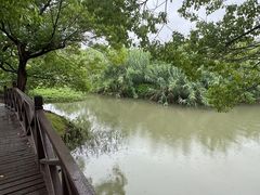 -沙家浜风景区
