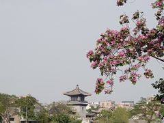 -海珠湖公园