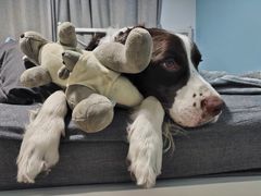 -喵汪宠物生活馆(涞坊路店)