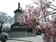 -西安青龙寺遗址景区