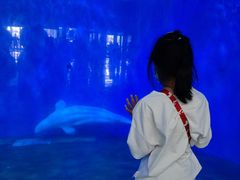 -泉城欧乐堡海洋极地世界