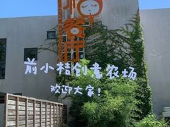 -前小桔亲子创意农场·草莓采摘·露营烧烤