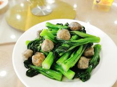 鱼丸炒菜心-文海饭店(朝阳路店)