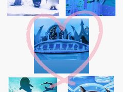 -上海海昌海洋公园