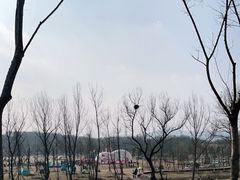 -佛手湖郊野公园