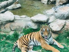 -北京野生动物园