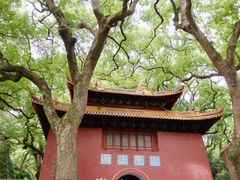 -普陀山风景名胜区-法雨禅寺