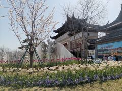 -苏州上方山国家森林公园
