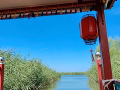 -白洋淀景区
