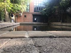 -中国艺术研究院油画院