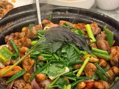 -朱记乳鸽王·非遗石岐乳鸽·全鸽宴(大兴旗舰店)