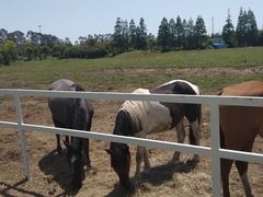 -长兴岛郊野公园农场食堂