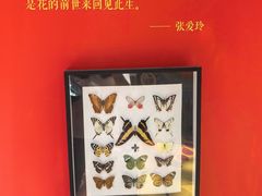 -LuOne凯德晶萃广场(徐家汇路店)