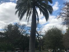 -墨尔本皇家植物园