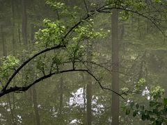 -杭州植物园