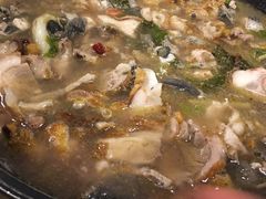 -易门野生菌府·菌海森林(月牙潭公园店)