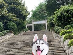 -中山纪念堂