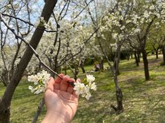 -长春公园(普阳街道)