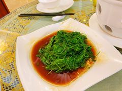 金花菜酒香-新聚丰菜馆(太监弄店)