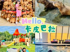 -廊坊固安福朋喜来登酒店