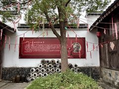 -杭州湾海上花田景区