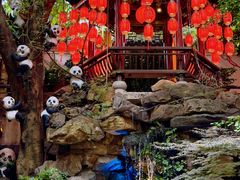 -钦善斋(武侯祠店)