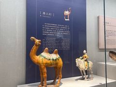-镇江博物馆