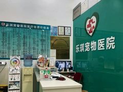 -乐琪宠物医院·犬猫专科·骨外科·急重症