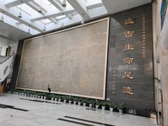 -中国地质大学逸夫博物馆