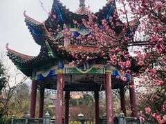 -开福禅寺