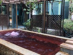 -春晖园度假酒店温泉