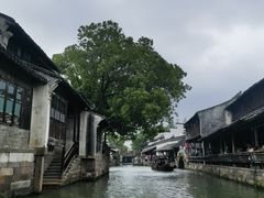 -乌镇东栅景区