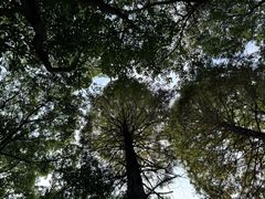 -同里国家湿地公园