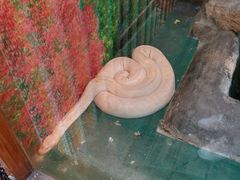 -上海大自然野生昆虫馆(东方明珠·爬宠昆虫探索中心)
