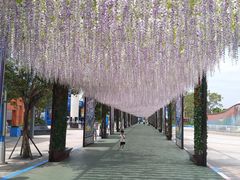 -厦门方特梦幻王国