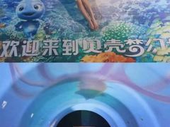-贝壳梦幻世界